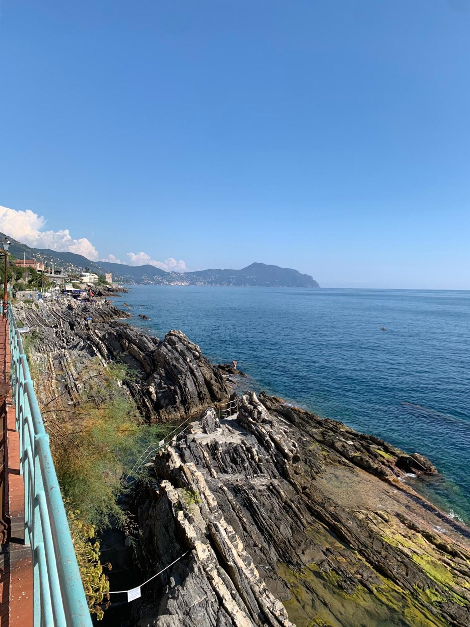 A Few Steps From The Port Of Nervi Appartement